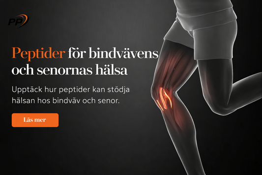 Peptider bindväv senor – forskning om kollagensyntes och vävnadsåterhämtning